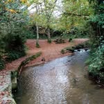 Daniel Lebled - @daniel.lebled.9 - Instagram