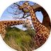 Daniel Lech - Facebook