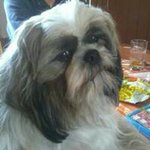 Daniel Leclerc - @daniel.leclerc.7543 - Instagram
