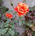 Daniel Leclerc - Facebook