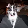 danielledbetter88 - @danielledbetter88 - TikTok