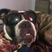 Daniel Ledet - Facebook