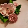Danielle Duro821 - @danielleduro821 - TikTok
