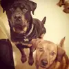 danielleece - @danielleece - TikTok