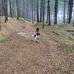 Daniel Leech - Facebook