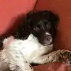 Daniel Leech - @danielleech41 - TikTok