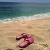 Danielle Fredette - @danielleff321 - TikTok