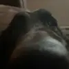 Danielle Few - @danielle.few - TikTok