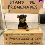 Daniel Lefort - @raydanlefort - Instagram
