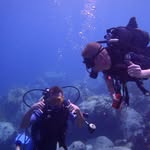 Daniel Lefrancois - @lefrancoisdaniel - Instagram