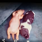 Daniel Légaré - @legare400 - Instagram