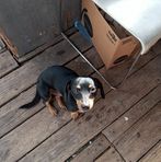 Daniel W Lemon - Facebook
