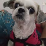 Daniel Leonardo Bellido - @daniel_leonardo_bellido - Instagram