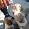 Daniel Leopoldo - @daniel.leopoldo - TikTok