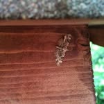 @daniel_leppanensc - Instagram