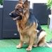 Daniel Lesueur - Facebook