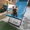 daniel lesueur - @daniel.lesueur - TikTok