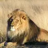 daniel__leu - @daniel__leu - TikTok
