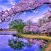 Daniel Leu - Facebook