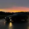 Shroomie - @daniel.leutgeb - TikTok