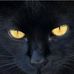Daniel Ley - Facebook