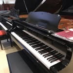 Daniel Lezcano - @lezcano_pianos - Instagram