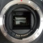 Daniel Libbey - @d.l.l_365 - Instagram