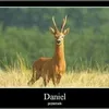 Daniel Libera  - @liberatorskc - TikTok