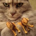דניאל ליברטי - @daniel.liberty666 - Instagram