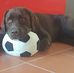 Daniele Libralato - Facebook