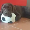 danielelibralato - @danielelibralato - TikTok