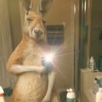 Daniel Rodríguez - @daniel_lidon - Instagram