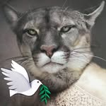 Daniel Lienhart - @lienhartdaniel - Instagram