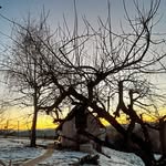 Daniel Lienhart - @daniel_lienhart - Instagram