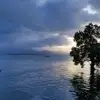 Daniel lim - @daniel.lim59 - TikTok