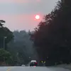 daniel.lim26 - @daniel.lim2608 - TikTok