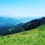 Daniel Lindstedt - @dackelthebest - Instagram