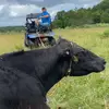 Daniel Lingenfelter - @daniellingenfelter - TikTok