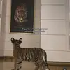 Danieliño - @19.04.05c - TikTok