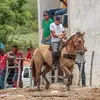 Daniel Lins - @daniel.lins02 - TikTok