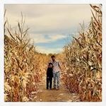 Daniel Linton - @dalin423 - Instagram
