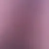 daniel.linz.ok - @appleuser3387493 - TikTok