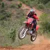 Daniel Lisboa - @daniel.lisboa36 - TikTok