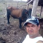 daniel lisboa dos santos - @daniellisboado - Instagram