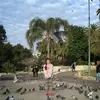 daniellalitvak - @daniellalitvakendmia - TikTok