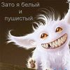 Daniel Lizenberger - @daniellizenberger - TikTok