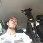 daniel lizana - @lizanadaniel - Instagram