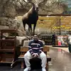 Daniel Llanas - @danielllanas2 - TikTok
