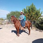 Daniel Llanas Hernandez - @danielllanashernandez - Instagram