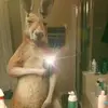 Daniel Llanos ⚡ - @daniel.llanos12 - TikTok